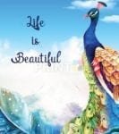 Beautiful Peacock - Life is Beautiful Dishwasher Sticker