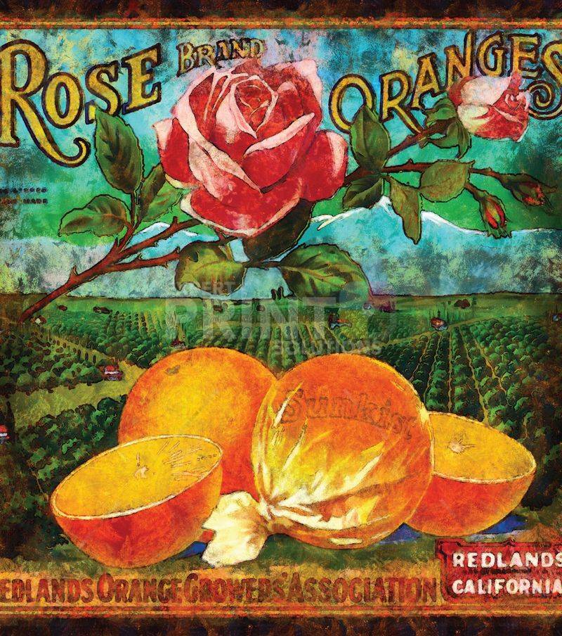 Beautiful Vintage Labels #9 - Rose Brand Oranges - Redlands California Dishwasher Sticker
