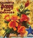 Beautiful Vintage Labels #1 - California Poppy Brand Oranges Dishwasher Sticker