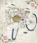 Lady Bicycle with Roses Dishwasher Sticker