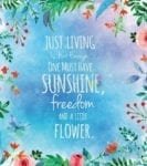 Beautiful Quote with Flowers - Just Living is not Enough, One Must Have Sunshine, Freedom and a Little Flower Dishwasher Sticker