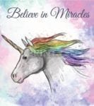 Rainbow Unicorn - Believe in Miracles Dishwasher Sticker