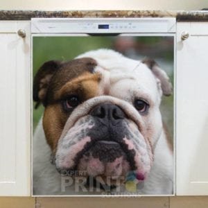Cute Bulldog Face Dishwasher Sticker