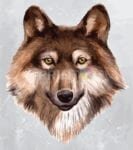 Pretty Wolf Face Dishwasher Sticker