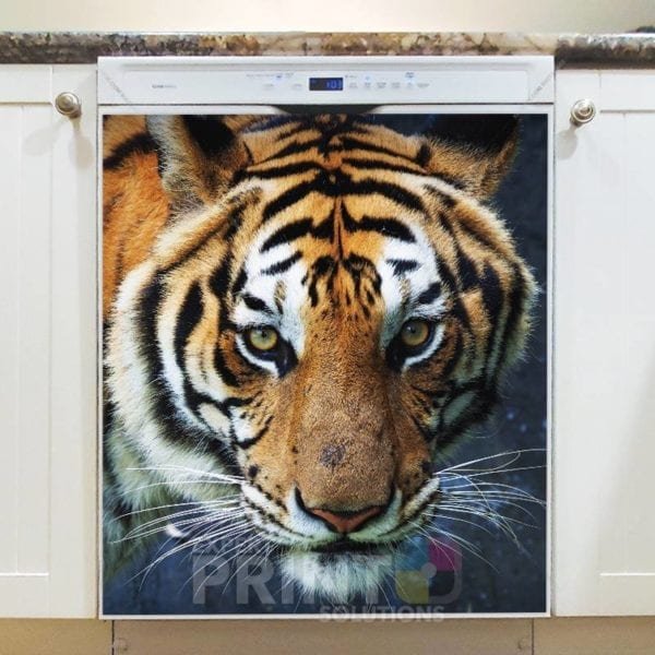 Beautiful Tiger Face Dishwasher Sticker