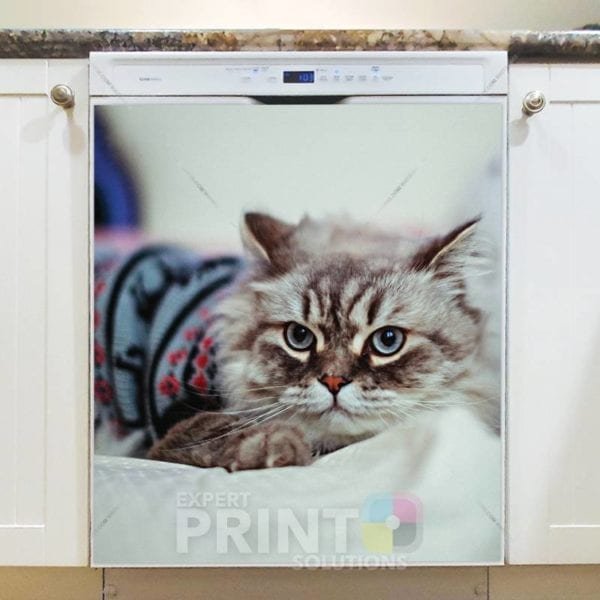 Little Cat in Sweater Dishwasher Sticker