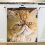 Silly Cat Face Dishwasher Sticker