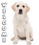 Cute Dog Welcome Dishwasher Sticker