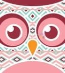 Ethnic Owl's Face Dishwasher Sticker
