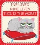 Thoughts of a Grouchy Cat #3 - I've Lived Nine Lives This Is The Worst Dishwasher Sticker