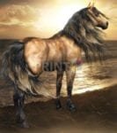 Beautiful Horse #7 Dishwasher Sticker