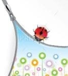 Secret Life of Ladybug Dishwasher Sticker