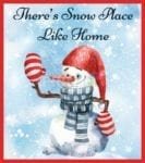 Christmas - There's Snow Place Like Home Dishwasher Sticker