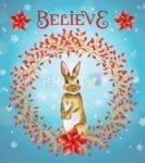 Christmas - Brown Winter Bunny - Believe Dishwasher Sticker