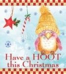 Christmas - Have a Hoot this Christmas Dishwasher Sticker