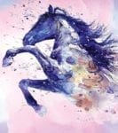 Beautiful Watercolor Style Horse Dishwasher Sticker