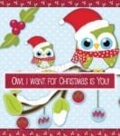 Christmas - Cute Love Owls - Owl I Want for Christmas is You Dishwasher Sticker