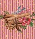 Christmas - Cinnamon and Berries Design Dishwasher Sticker