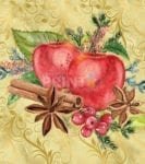 Christmas - Apple Cinnamon Design #4 Dishwasher Sticker