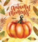 Autumn Moments Pumpkin Dishwasher Sticker