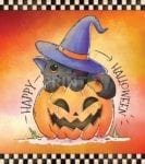 Cute Halloween Witch Cat #3 - Happy Halloween Dishwasher Sticker