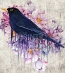 Blackbird and Flowers Dishwasher Sticker