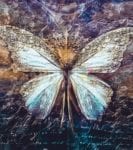 Vintage Butterfly #3 Dishwasher Sticker