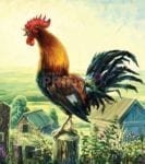 The Rooster and the Sunrise Dishwasher Sticker