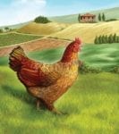 Tuscan Farmhouse Chicken Dishwasher Sticker