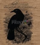 Farmhouse Burlap Pattern - Black Raven Dishwasher Sticker