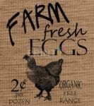Farmhouse Burlap Pattern - Farm Fresh Eggs - Organic Free Range Dishwasher Sticker