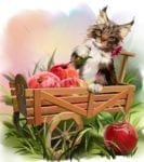 Cute Maine Coon Kitten on a Farm Dishwasher Sticker