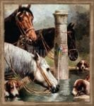 Cute Farm Dogs and Horses #5 Dishwasher Sticker