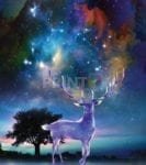 Beautiful Nebula Deer Dishwasher Sticker