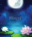 The Moon and Waterlilies Dishwasher Sticker