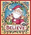 Christmas - Sweet Christmas Holiday #41 - Believe Dishwasher Sticker