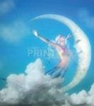 Mermaid and the Moon Garden Flag