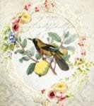 Vintage Bird and Fruit Garden Flag