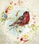 Vintage Red Bird and Flowers Garden Flag