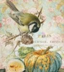 Vintage Bird and Pumpkins Garden Flag