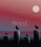 3482-gulls-in-the-sunset Gulls in the Sunset Garden Flag