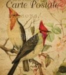 Vintage Carte Postale with Birds and Flowers #1 Garden Flag