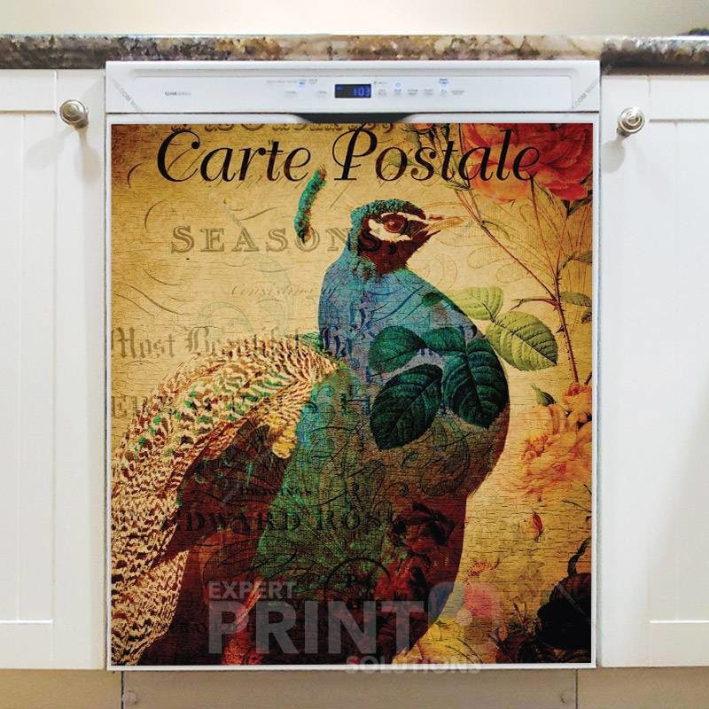 Vintage Carte Postale with a Peacock Dishwasher Magnet