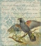 Vintage Bird on a Tree with Writing Garden Flag