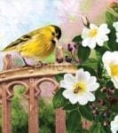 Little Yellow Bird and Blooming White Roses Garden Flag