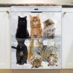 Kittens' Dreams Dishwasher Magnet