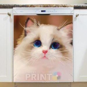 Beautiful Blue Eyed Cat Dishwasher Magnet