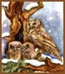 Birds of the Winter - Owls Garden Flag