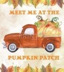 Pumpkin Patch Truck Garden Flag