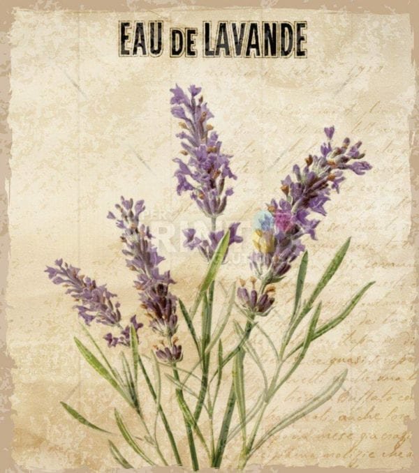 Vintage Lavender Design #6 Garden Flag